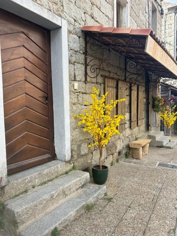 Tres Beau Studio Avec Terrasse Zonza Exterior foto